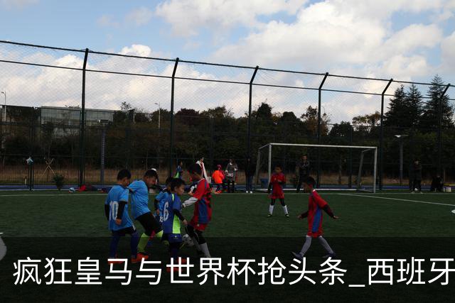 疯狂皇马与世界杯抢头条 西班牙队终又有了他们一席？